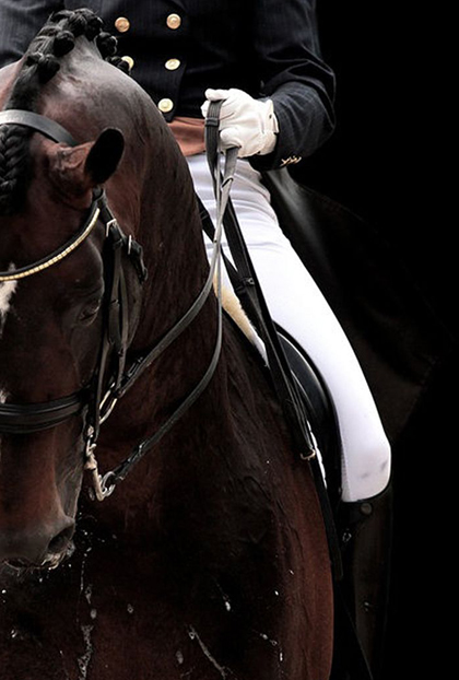 Horseridding Gloves